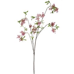 PTMD Blossom Flower Pink wild blossom spray with leaves