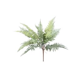 PTMD Fern Plant Moss Green fern bush large L - afbeelding 1
