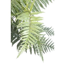PTMD Fern Plant Moss Green fern bush large L - afbeelding 2