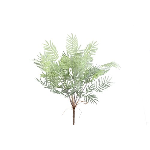 PTMD Fern Plant Moss Green fern bush large S - afbeelding 1