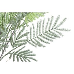 PTMD Fern Plant Moss Green fern bush large S - afbeelding 2