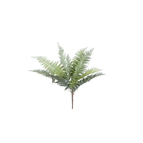 PTMD Fern Plant Moss Green fern bush small - afbeelding 1