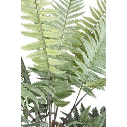 PTMD Fern Plant Moss Green fern bush small - afbeelding 2