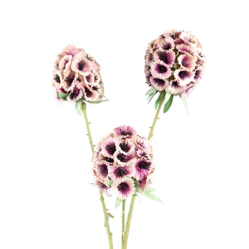 PTMD Garden Flower Bright Pink scabiosa spray with bud
