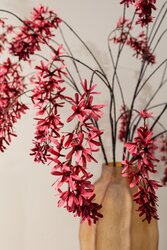 PTMD Garden Flower Burgundy hanging wisteria spray - afbeelding 4