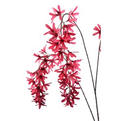 PTMD Garden Flower Burgundy hanging wisteria spray - afbeelding 2