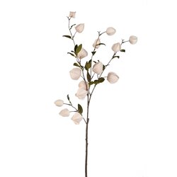 PTMD Garden Flower Cream chinese lantern spray - afbeelding 1