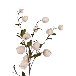 PTMD Garden Flower Cream chinese lantern spray - afbeelding 2