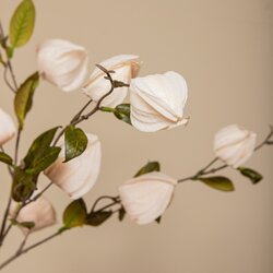 PTMD Garden Flower Cream chinese lantern spray - afbeelding 4