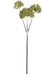 PTMD Garden Flower Dark Green Angelica spray