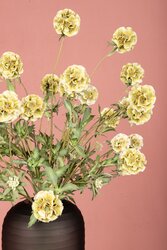 PTMD Garden Flower Green scabiosa spray - afbeelding 4