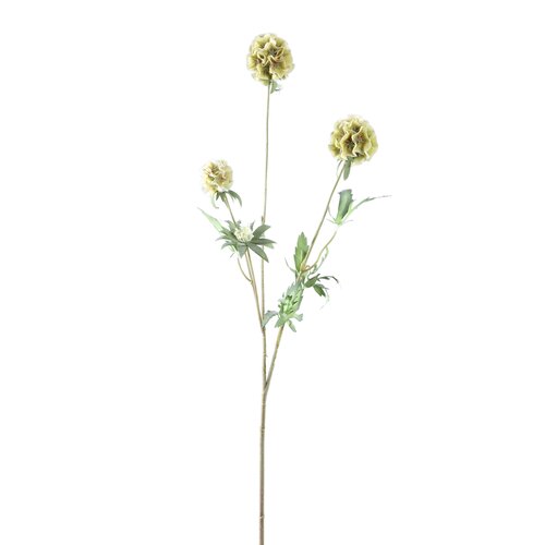 PTMD Garden Flower Green scabiosa spray - afbeelding 1