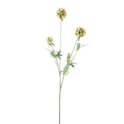 PTMD Garden Flower Green scabiosa spray - afbeelding 1