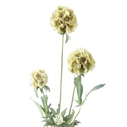 PTMD Garden Flower Green scabiosa spray - afbeelding 2