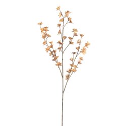 PTMD Garden Flower Light Brown Dry chrysanthemum - afbeelding 1