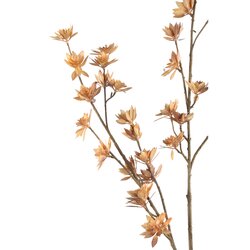 PTMD Garden Flower Light Brown Dry chrysanthemum - afbeelding 2