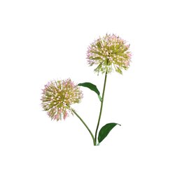 PTMD Garden Flower Pink allium spray - afbeelding 2