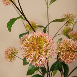 PTMD Garden Flower Pink allium spray - afbeelding 4