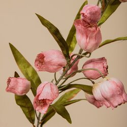 PTMD Garden Flower Pink sandersonia flower spray - afbeelding 4