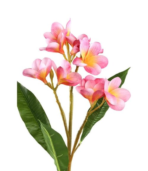 PTMD Garden Flower pink with leaves