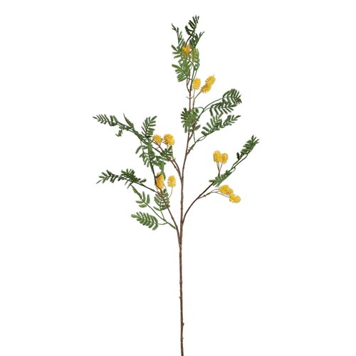 PTMD Garden Flower Yellow mimosa spray with leaves S