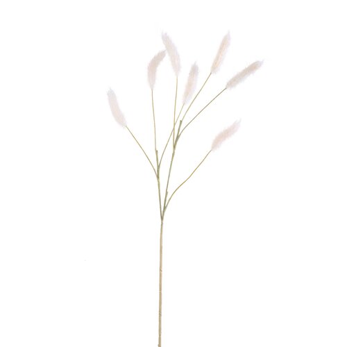 PTMD Grass Plant Cream pampas grass spray - afbeelding 1