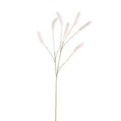 PTMD Grass Plant Cream pampas grass spray - afbeelding 1