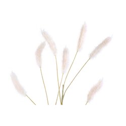 PTMD Grass Plant Cream pampas grass spray - afbeelding 2