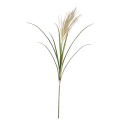 PTMD Grass Plant Natural weeping pampas grass spray S - afbeelding 1