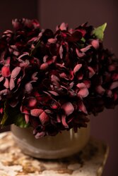 PTMD Hydrangea Flower Burgundy hydrangea stem small - afbeelding 4