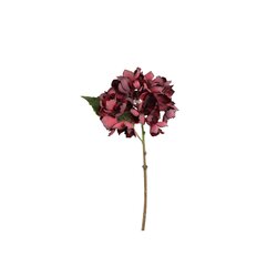 PTMD Hydrangea Flower Burgundy hydrangea stem small - afbeelding 1