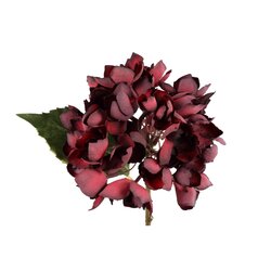 PTMD Hydrangea Flower Burgundy hydrangea stem small - afbeelding 2
