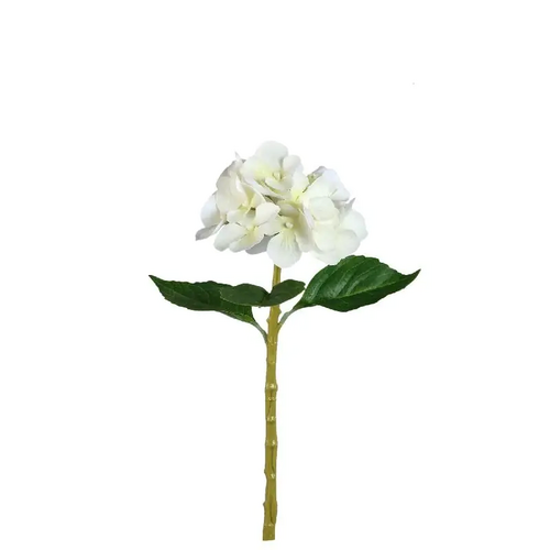 PTMD Hydrangea Flower Cream hydrangea stem