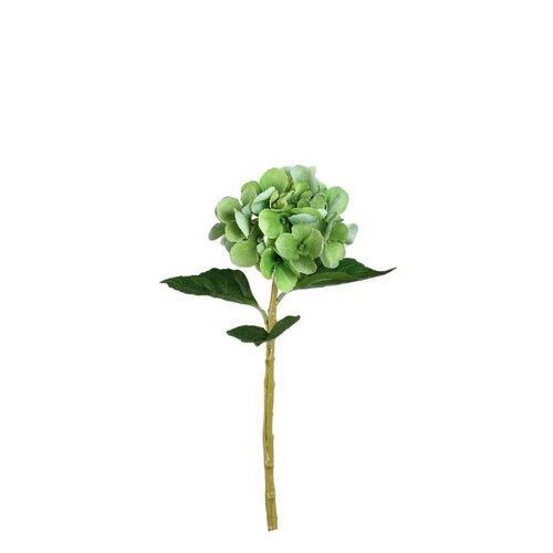 PTMD Hydrangea Flower Green hydrangea stem