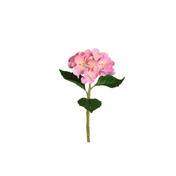 PTMD Hydrangea Flower Pink hydrangea stem