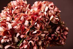 PTMD Hydrangea Flower Pink hydrangea stem small - afbeelding 4