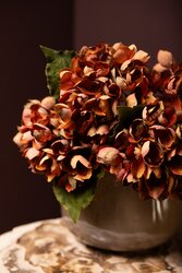 PTMD Hydrangea Flower Rust hydrangea stem small - afbeelding 4