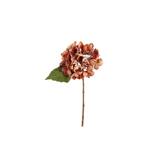 PTMD Hydrangea Flower Rust hydrangea stem small - afbeelding 1