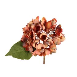 PTMD Hydrangea Flower Rust hydrangea stem small - afbeelding 2