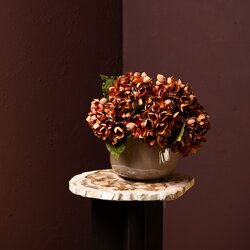 PTMD Hydrangea Flower Rust hydrangea stem small - afbeelding 3