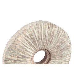 PTMD Kovi Beige cement ornament with ribbing round S - afbeelding 2