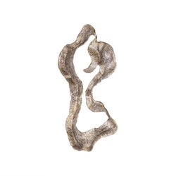 PTMD Leala Champagne casted alu organic wall panel S - afbeelding 2