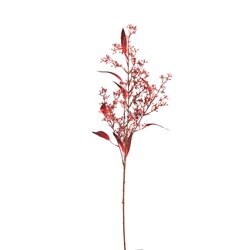 PTMD Leaves Plant Burgundy eucalyptus spray with seeds