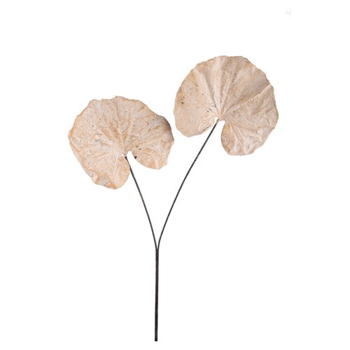 PTMD Leaves Plant Cream Butterbur leaf spray - afbeelding 1