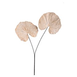 PTMD Leaves Plant Cream Butterbur leaf spray - afbeelding 1