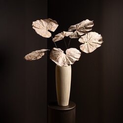 PTMD Leaves Plant Cream Butterbur leaf spray - afbeelding 3