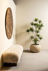 PTMD Leaves Plant Green dracaena plant in black pot - afbeelding 3