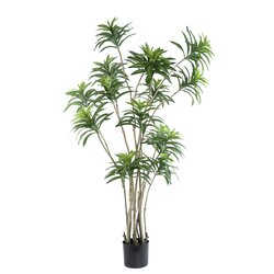 PTMD Leaves Plant Green dracaena plant in black pot - afbeelding 1