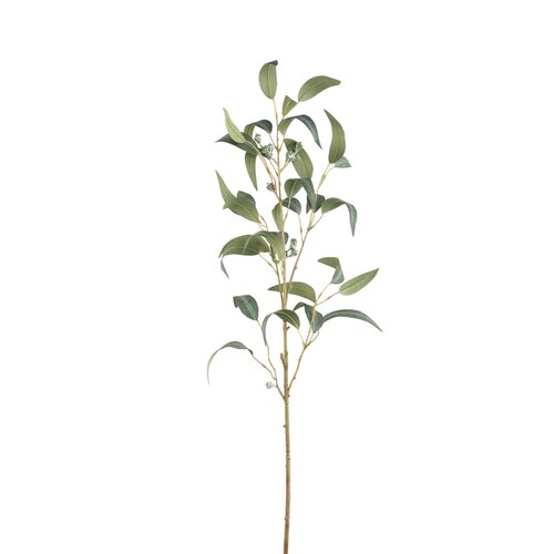 PTMD Leaves Plant Green eucalyptus spray w seeds long - afbeelding 1