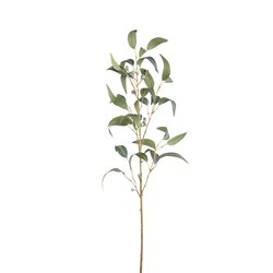 PTMD Leaves Plant Green eucalyptus spray w seeds long - afbeelding 1